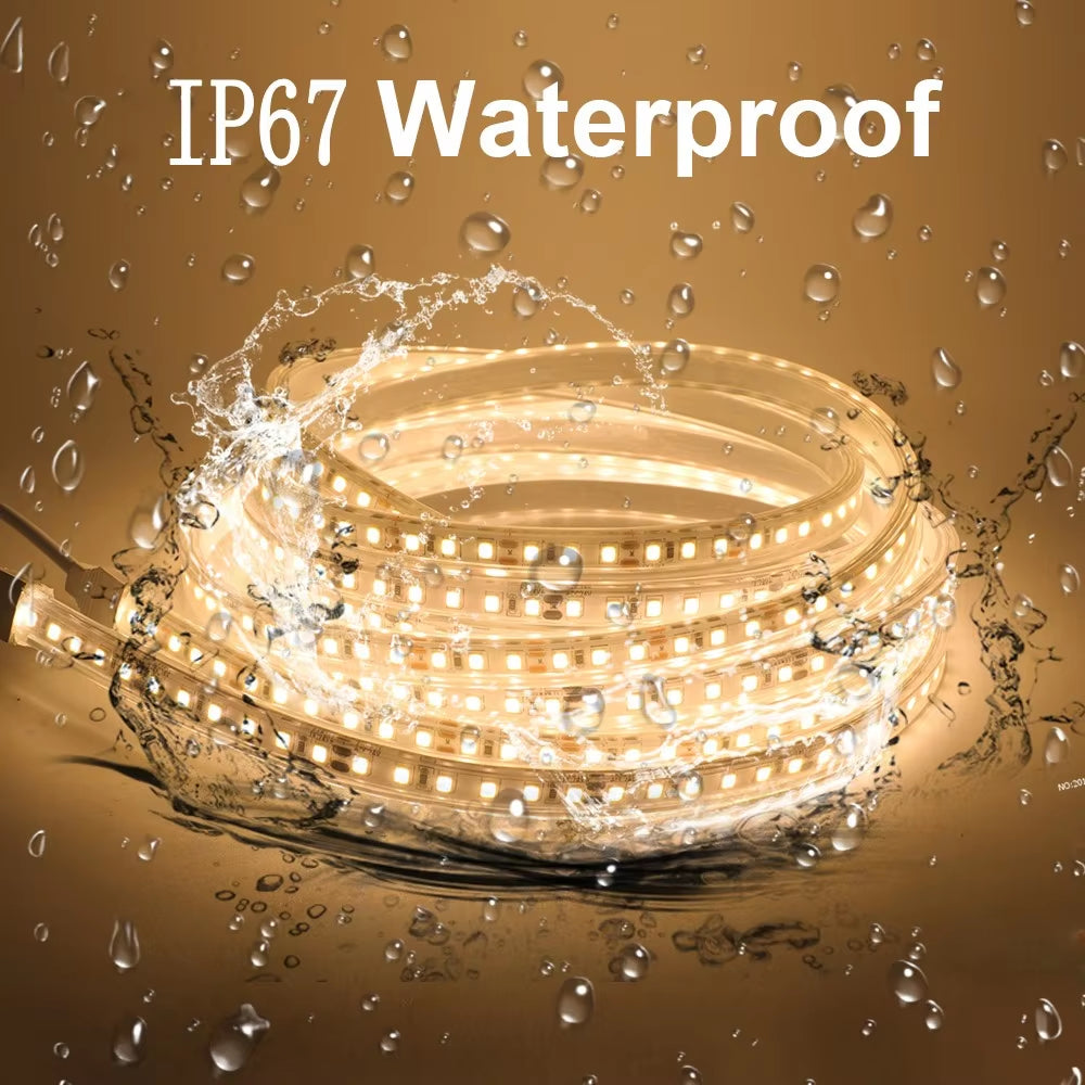 12V LED Lights Strip IP68 Waterproof SMD2835 120Leds/M LED Tape Flexible Ribbon White/Warm White 2PIN Wire LED Lights for Home